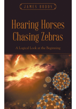 Hearing Horses Chasing Zebras