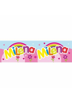 Bidon 300ml Milena