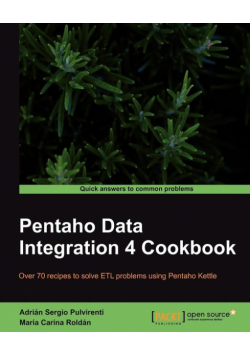 Pentaho Data Integration 4 Cookbook