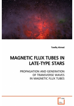 Magnetic Flux Tubes In Late-Type Stars  Propagation And Generation Of Transverse Waves In Magnetic Flux Tubes