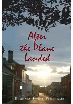 After the Plane Landed