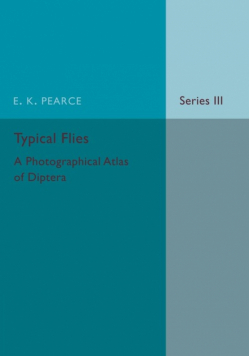 Typical Flies