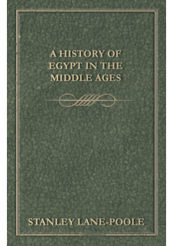 A History of Egypt in the Middle Ages