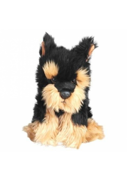 Morkie 30cm