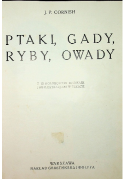 Ptaki gady ryby owady