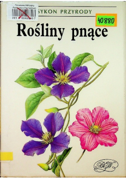 Rośliny pnące