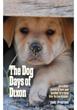 The Dog Days of Dixon