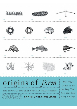 Origins of Form