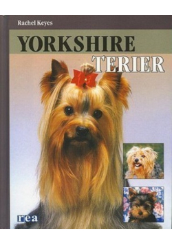 Yorkshire terier