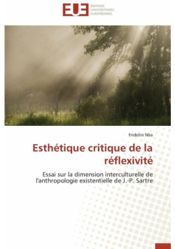 Esthétique critique de la réflexivité