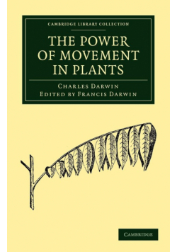 The Power of Movement in Plants