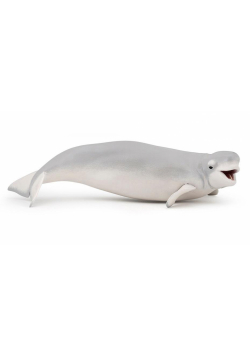 Bieługa