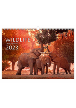 Kalendarz 2023 ścienny Wildlife HELMA