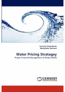 Water Pricing Stratagey