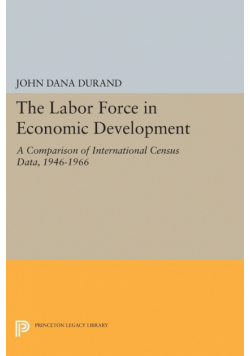 The Labor Force in Economic Development