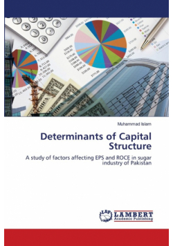 Determinants of Capital Structure