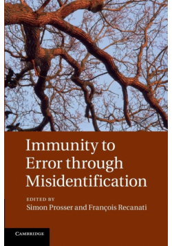 Immunity to Error Through Misidentification