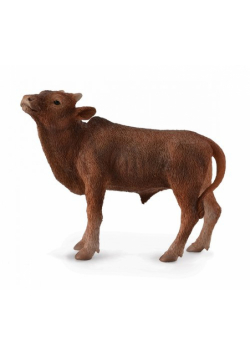 Cielę Ankole-Watusi