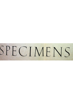 Specimens Catalogue