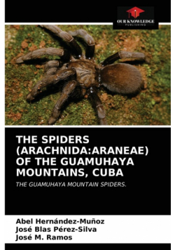 The Spiders (Arachnida