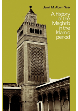 A History of the Maghrib in the Islamic Period