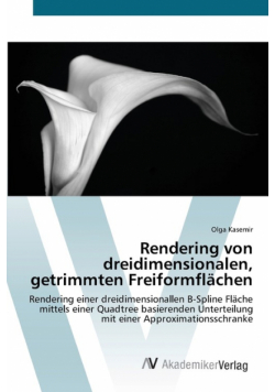 Rendering von dreidimensionalen, getrimmten Freiformflächen