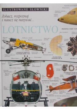 Ilustrowane Słowniki Lotnictwo