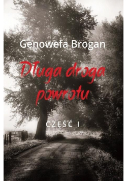 Długa droga powrotu T.1