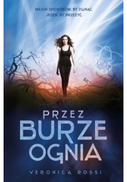 Przez burze ognia