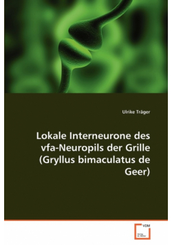 Lokale Interneurone des vfa-Neuropils der Grille (Gryllus bimaculatus de Geer)