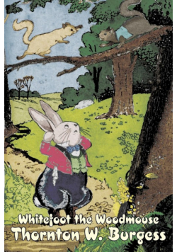 Whitefoot the Woodmouse by Thornton Burgess, Fiction, Animals, Fantasy & Magic