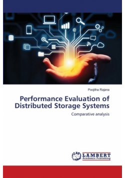 Performance Evaluation of Distributed Storage Systems