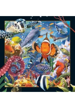 Magnes 3D Ocean