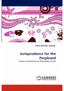 Jurisprudence for the Perplexed