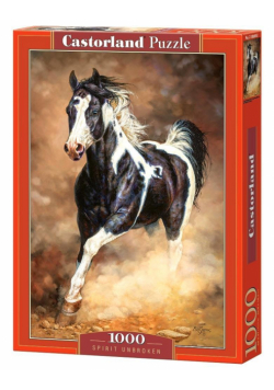 Puzzle 1000 Spirit Unbroken CASTOR
