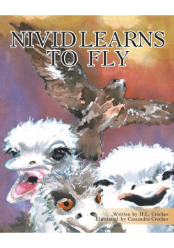 Nivid Learns to Fly