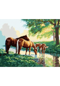 Malowanie po numerach - Dzikie konie 40x50cm