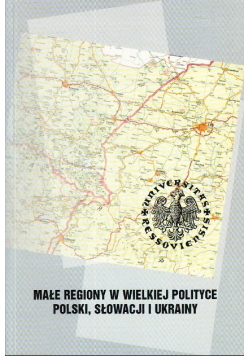 Małe regiony w wielkiej polityce Polski Słowacji i Ukrainy