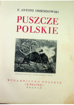 Puszcze polskie 1936 r.