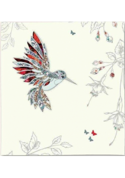 Karnet Swarovski kwadrat CL0509 Koliber