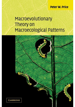 Macroevolutionary Theory on Macroecological Patterns