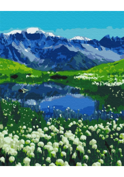 Malowanie po numerach - Alpejskie łąki 40x50cm