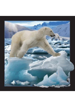 Pocztówka 3D Niedźwiedź polarny w skoku