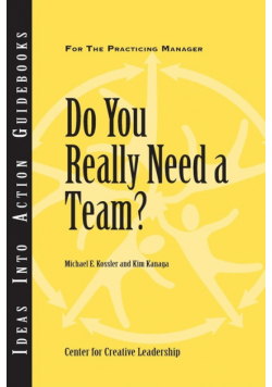 Do You Really Need a Team?
