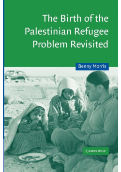 The Birth of the Palestinian Refugee Problem Revisited