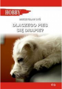 Dlaczego pies się drapie?