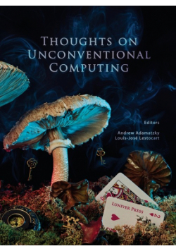 Thoughts on unconventional computing