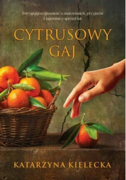 Cytrusowy gaj