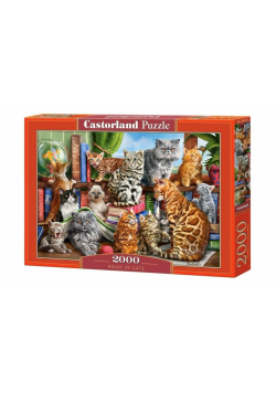 Puzzle 2000 House of Cats CASTOR