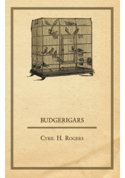 Budgerigars